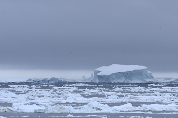 OTL24-25, Day 4, SAS_4413.JPG © Saskia van der Meij - Oceanwide Expeditions.JPG