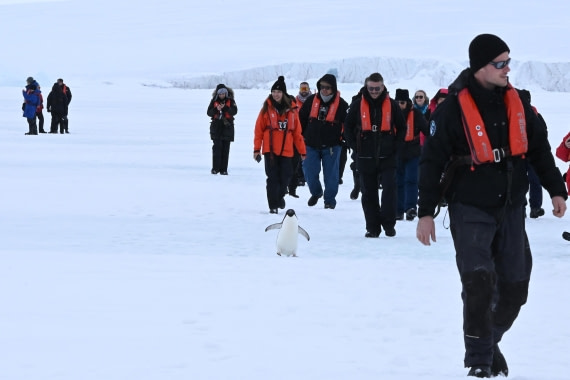 OTL24-25, Day 4, SAS_4477.JPG © Saskia van der Meij - Oceanwide Expeditions.JPG