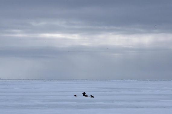 OTL24-25, Day 4, SAS_4481.JPG © Saskia van der Meij - Oceanwide Expeditions.JPG