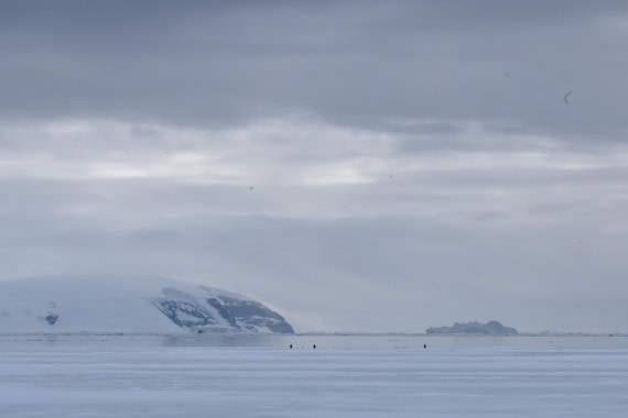 OTL24-25, Day 4, SAS_4504.JPG © Saskia van der Meij - Oceanwide Expeditions.JPG