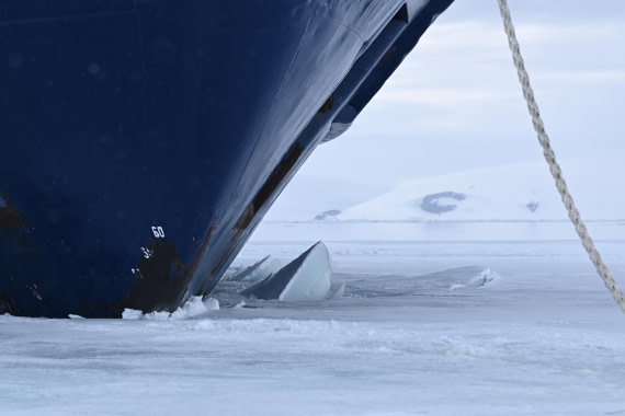 OTL24-25, Day 4, SAS_4524.JPG © Saskia van der Meij - Oceanwide Expeditions.JPG