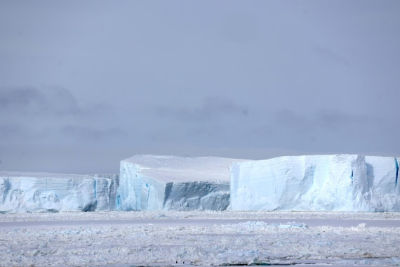 OTL24-25, Day 5, IMG_7820.JPG © Beth Hitchcock - Oceanwide Expeditions.JPG