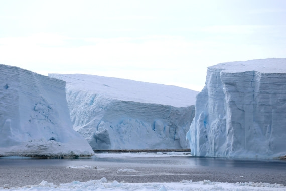 OTL24-25, Day 5, IMG_7834.JPG © Beth Hitchcock - Oceanwide Expeditions.JPG