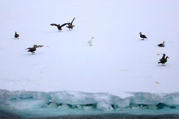 OTL24-25, Day 5, IMG_7850.JPG © Beth Hitchcock - Oceanwide Expeditions.JPG