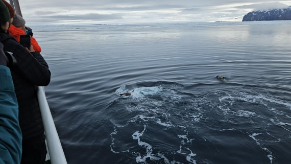 OTL24-25, Day 6, 20251207_074943.jpg © Saskia van der Meij - Oceanwide Expeditions.jpg