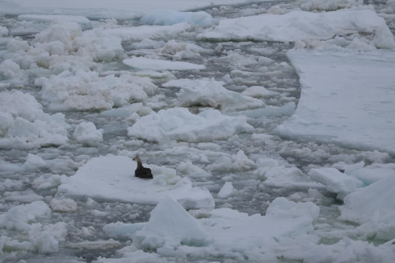 OTL24-25, Day 6, IMG_7941.JPG © Beth Hitchcock - Oceanwide Expeditions.JPG