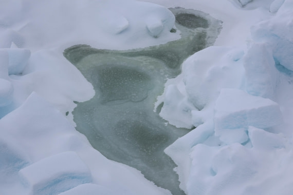 OTL24-25, Day 6, IMG_7960.JPG © Beth Hitchcock - Oceanwide Expeditions.JPG