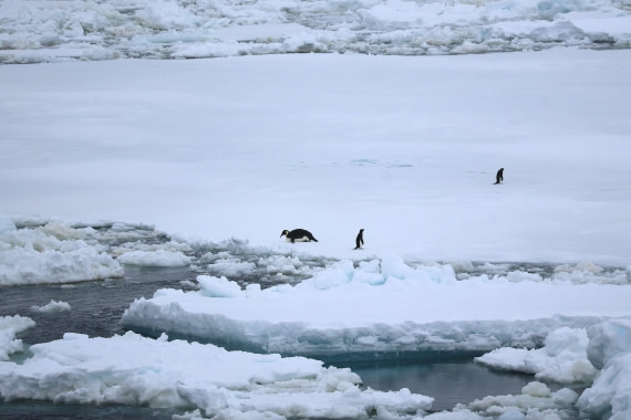 OTL24-25, Day 6, IMG_7987.JPG © Beth Hitchcock - Oceanwide Expeditions.JPG