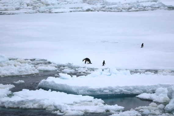 OTL24-25, Day 6, IMG_7988.JPG © Beth Hitchcock - Oceanwide Expeditions.JPG