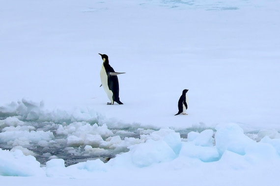 OTL24-25, Day 6, IMG_7992.JPG © Beth Hitchcock - Oceanwide Expeditions.JPG