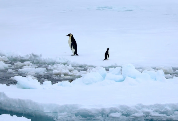 OTL24-25, Day 6, IMG_7991.JPG © Beth Hitchcock - Oceanwide Expeditions.JPG