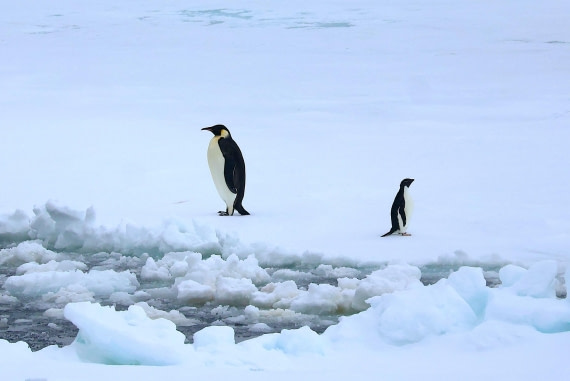 OTL24-25, Day 6, IMG_7997.JPG © Beth Hitchcock - Oceanwide Expeditions.JPG