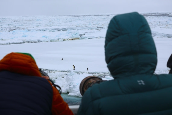 OTL24-25, Day 6, IMG_7999.JPG © Beth Hitchcock - Oceanwide Expeditions.JPG