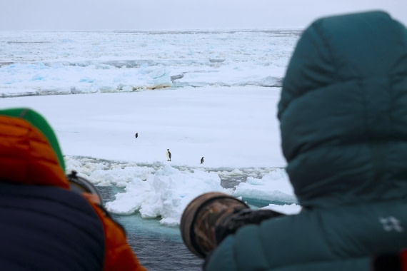 OTL24-25, Day 6, IMG_8000.JPG © Beth Hitchcock - Oceanwide Expeditions.JPG