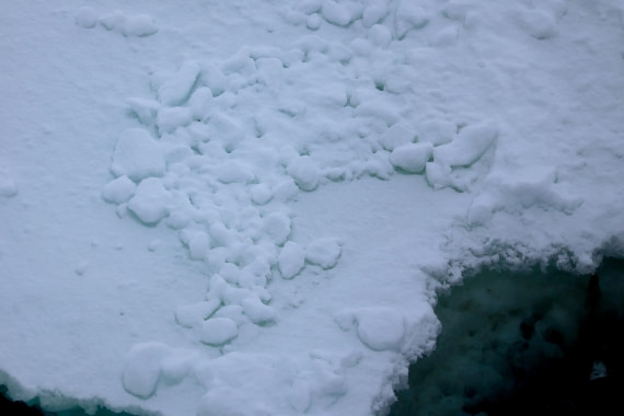 OTL24-25, Day 6, IMG_8008.JPG © Beth Hitchcock - Oceanwide Expeditions.JPG