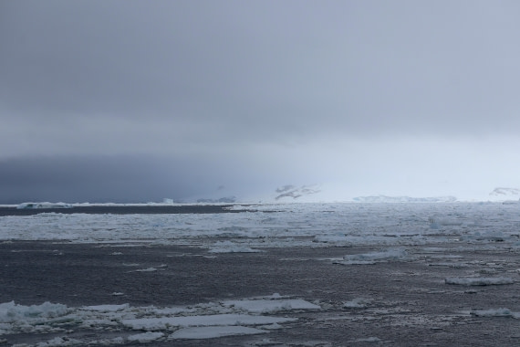 OTL24-25, Day 6, IMG_8011.JPG © Beth Hitchcock - Oceanwide Expeditions.JPG