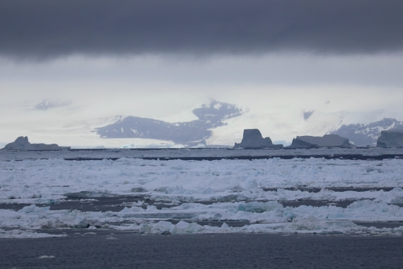 OTL24-25, Day 6, IMG_8015.JPG © Beth Hitchcock - Oceanwide Expeditions.JPG