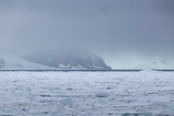 OTL24-25, Day 6, IMG_8023.JPG © Beth Hitchcock - Oceanwide Expeditions.JPG