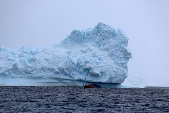 OTL24-25, Day 6, IMG_8024.JPG © Beth Hitchcock - Oceanwide Expeditions.JPG