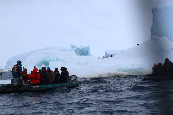 OTL24-25, Day 6, IMG_8028.JPG © Beth Hitchcock - Oceanwide Expeditions.JPG