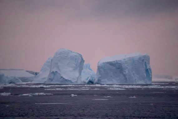 OTL24-25, Day 6, IMG_8050.JPG © Beth Hitchcock - Oceanwide Expeditions.JPG