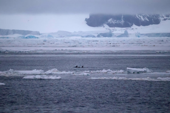 OTL24-25, Day 6, IMG_8117.JPG © Beth Hitchcock - Oceanwide Expeditions.JPG