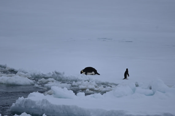 OTL24-25, Day 6, SAS_4575.JPG © Saskia van der Meij - Oceanwide Expeditions.JPG