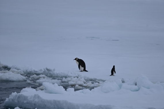 OTL24-25, Day 6, SAS_4577.JPG © Saskia van der Meij - Oceanwide Expeditions.JPG