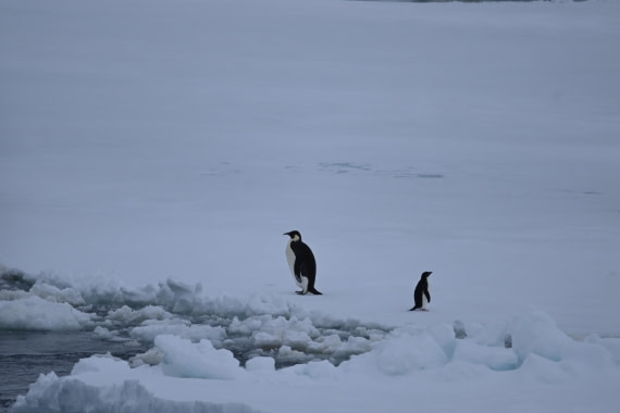 OTL24-25, Day 6, SAS_4578.JPG © Saskia van der Meij - Oceanwide Expeditions.JPG