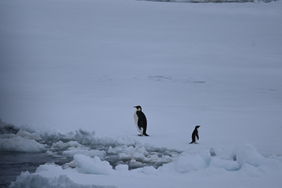 OTL24-25, Day 6, SAS_4579.JPG © Saskia van der Meij - Oceanwide Expeditions.JPG