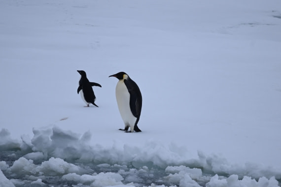 OTL24-25, Day 6, SAS_4588.JPG © Saskia van der Meij - Oceanwide Expeditions.JPG