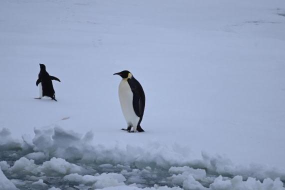 OTL24-25, Day 6, SAS_4589.JPG © Saskia van der Meij - Oceanwide Expeditions.JPG