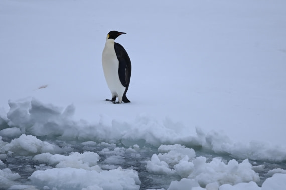 OTL24-25, Day 6, SAS_4593.JPG © Saskia van der Meij - Oceanwide Expeditions.JPG