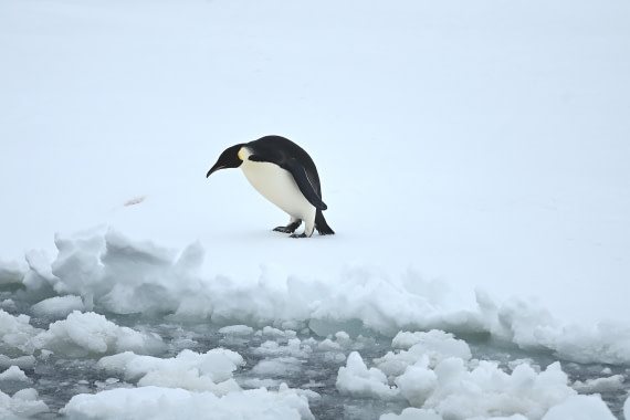 OTL24-25, Day 6, SAS_4594.JPG © Saskia van der Meij - Oceanwide Expeditions.JPG