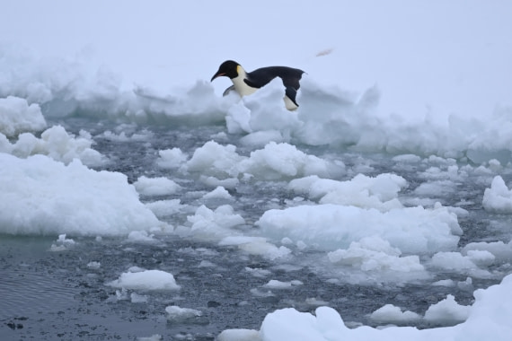 OTL24-25, Day 6, SAS_4595.JPG © Saskia van der Meij - Oceanwide Expeditions.JPG