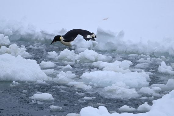 OTL24-25, Day 6, SAS_4597.JPG © Saskia van der Meij - Oceanwide Expeditions.JPG