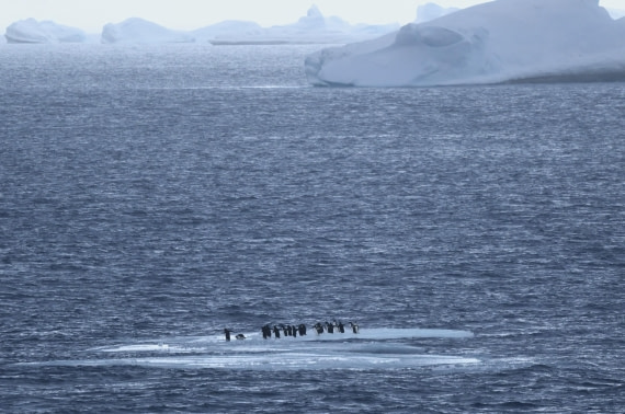 OTL24-25, Day 6, SAS_4612.JPG © Saskia van der Meij - Oceanwide Expeditions.JPG