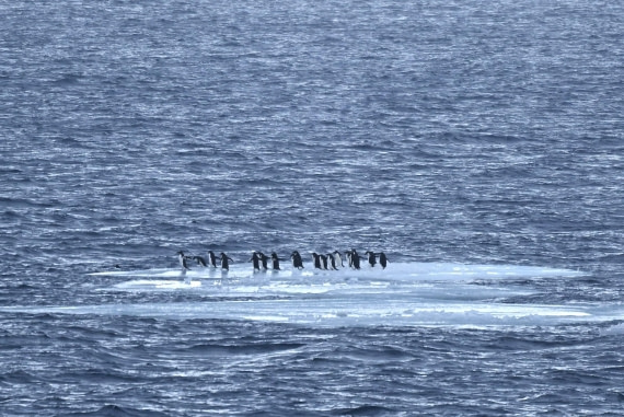 OTL24-25, Day 6, SAS_4616.JPG © Saskia van der Meij - Oceanwide Expeditions.JPG