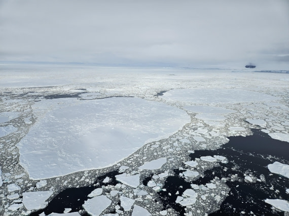 OTL24-25, Day 7, 20251207_084625.jpg © Saskia van der Meij - Oceanwide Expeditions.jpg