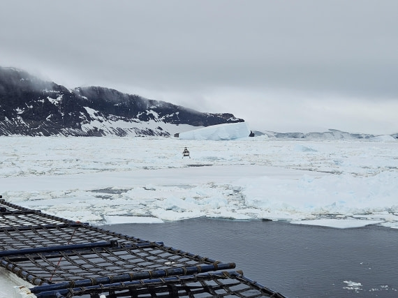 OTL24-25, Day 7, 20251207_085926.jpg © Saskia van der Meij - Oceanwide Expeditions.jpg