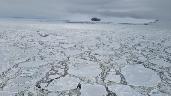 OTL24-25, Day 7, Gary 7Dec-Flightseeing.jpg © Gary Miller - Oceanwide Expeditions.jpg