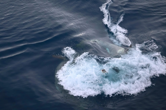 OTL24-25, Day 7, IMG_8268.JPG © Beth Hitchcock - Oceanwide Expeditions.JPG