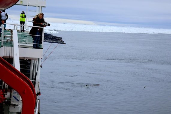 OTL24-25, Day 7, IMG_8304.JPG © Beth Hitchcock - Oceanwide Expeditions.JPG