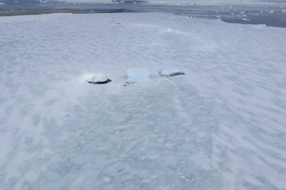 OTL24-25, Day 7, IMG_8380.JPG © Beth Hitchcock - Oceanwide Expeditions.JPG