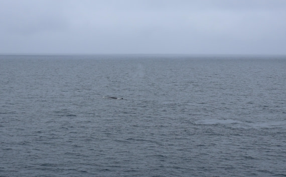 OTL24-25, Day 8, IMG_8401.JPG © Beth Hitchcock - Oceanwide Expeditions.JPG