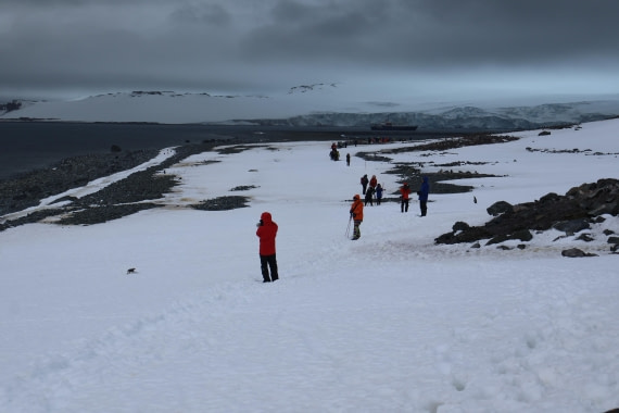 OTL24-25, Day 8, IMG_8468.JPG © Beth Hitchcock - Oceanwide Expeditions.JPG