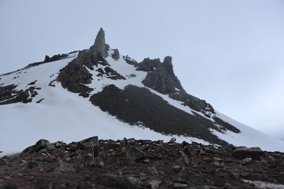 OTL24-25, Day 8, IMG_8470.JPG © Beth Hitchcock - Oceanwide Expeditions.JPG