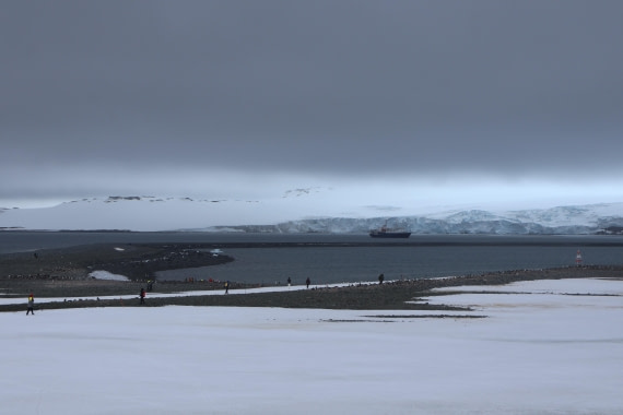 OTL24-25, Day 8, IMG_8472.JPG © Beth Hitchcock - Oceanwide Expeditions.JPG