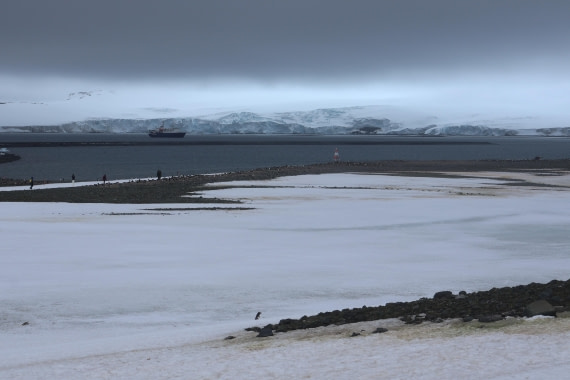 OTL24-25, Day 8, IMG_8473.JPG © Beth Hitchcock - Oceanwide Expeditions.JPG