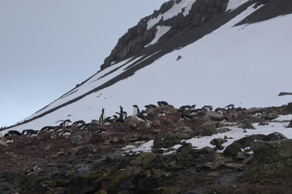 OTL24-25, Day 8, IMG_8474.JPG © Beth Hitchcock - Oceanwide Expeditions.JPG